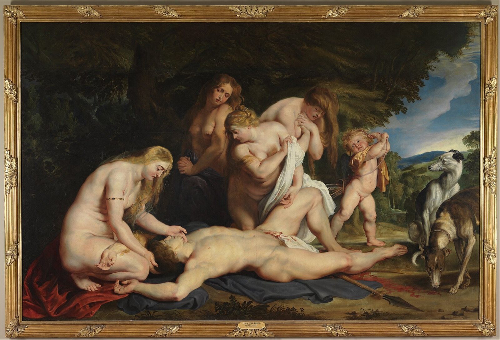 Adonis död i Peter Paul Rubens målning The Death of Adonis