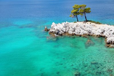 amarantos skopelos hero