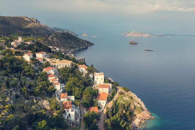 hydra