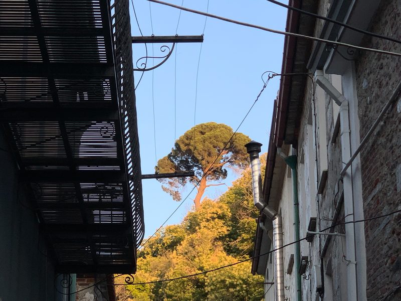 lesbos agassos village 5