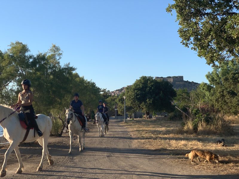 lesbos mithymna activity 24