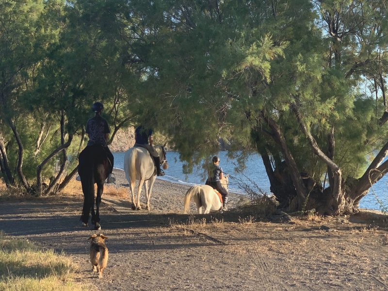 lesbos mithymna beach activity 25