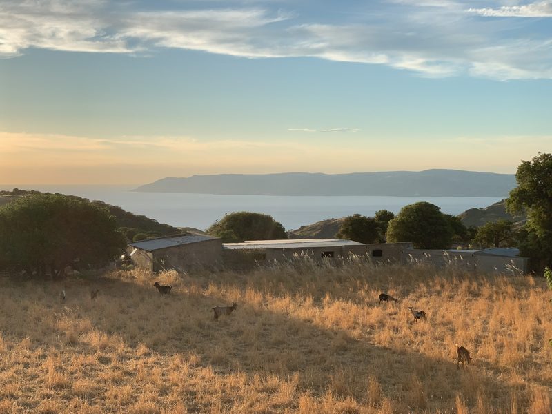 lesbos mithymna landscape 13