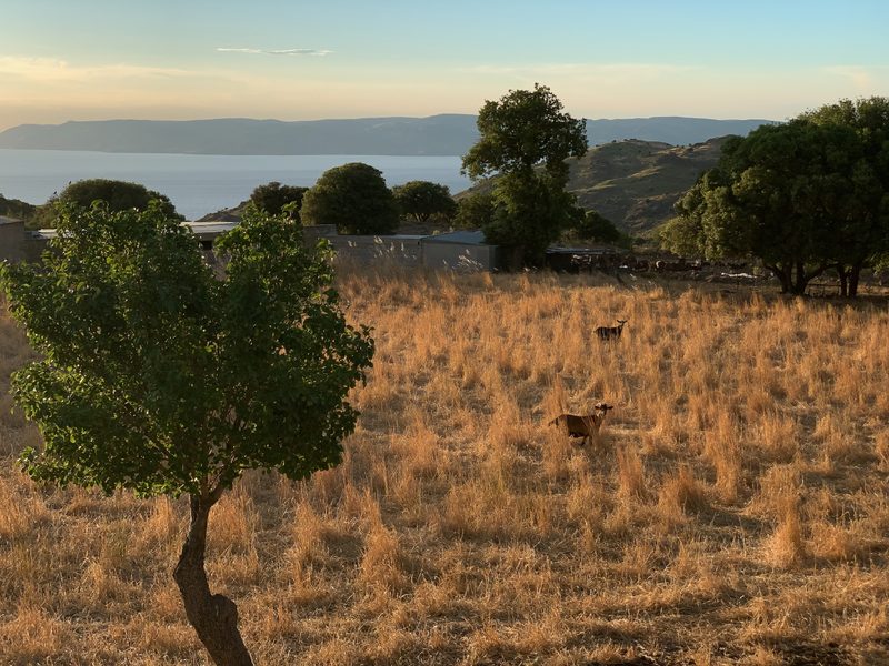 lesbos mithymna landscape 14