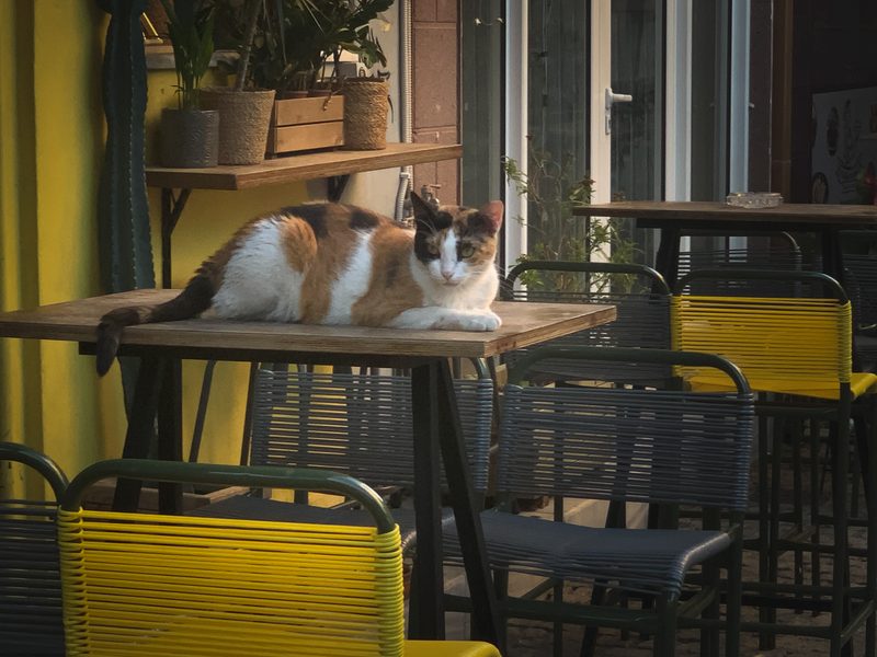 lesbos mytilene city 4