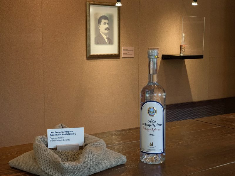 lesbos plomari ouzo 2