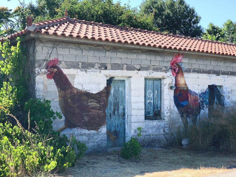 lesbos skala eresou village 6